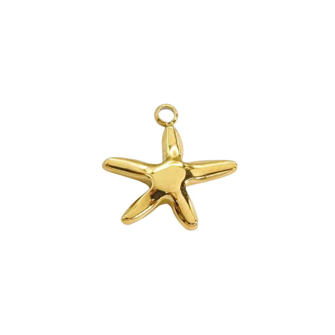 Small Starfish Charm